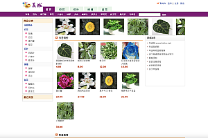 【S020】JSP在线鲜花商城系统 花店销售平台项目源码