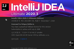 IntelliJ IDEA 2020安装教程【超详细】