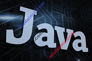 在Java毕业设计开发中如何实现去重功能